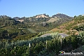 VBS_5607 - C'è un mare di velluto verde! E tu che sognavi di andare lontano... Quanta meraviglia, quì!